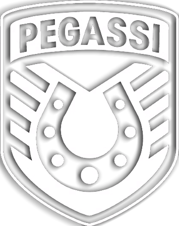 Pegassi